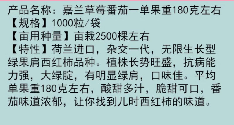 西红草莓番茄种子绿腚西红柿种籽丹东铁皮油柿子嘉兰