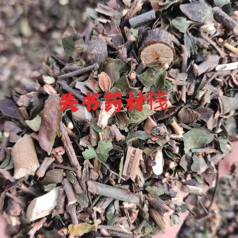 桑寄生新货颜色好大量现货关书药业