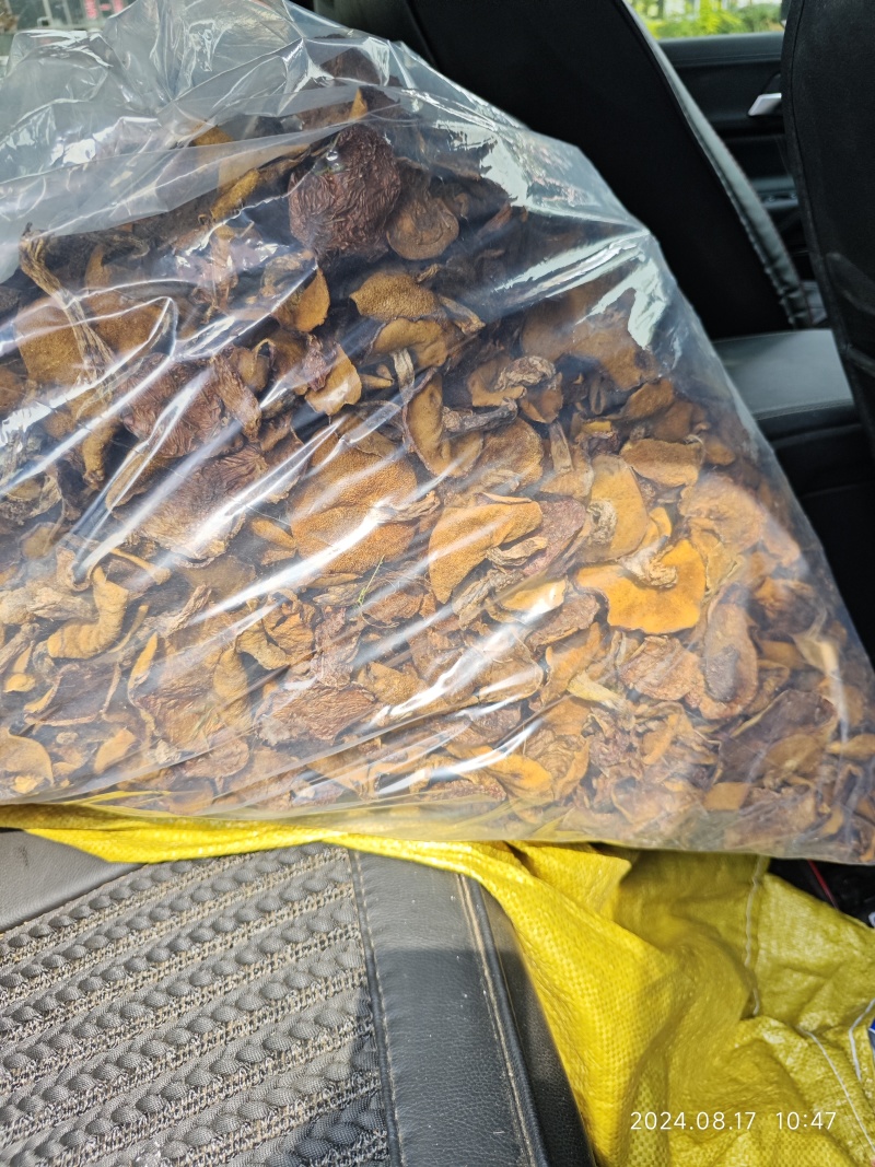 精品辽西烤干自然干松蘑