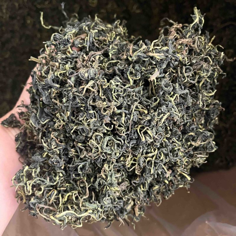 蒲公英蒲公英