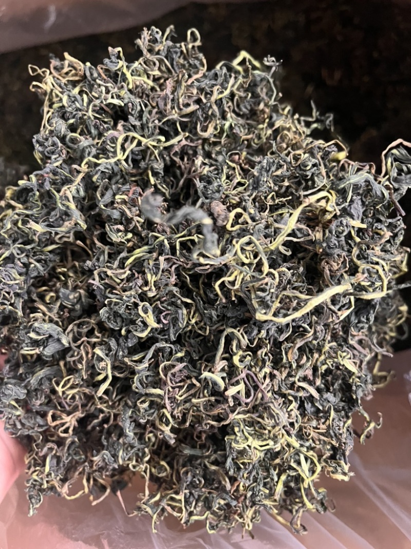 蒲公英蒲公英