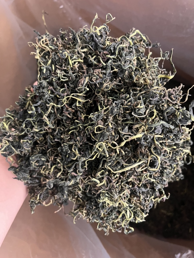 蒲公英蒲公英