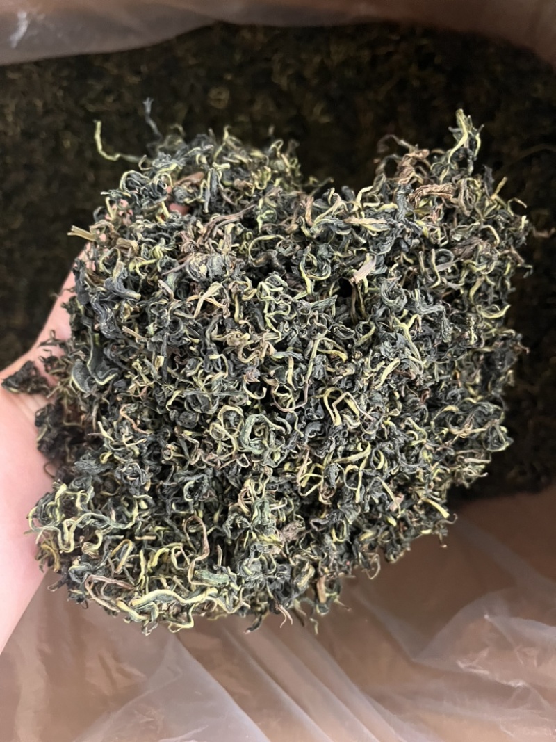 蒲公英蒲公英