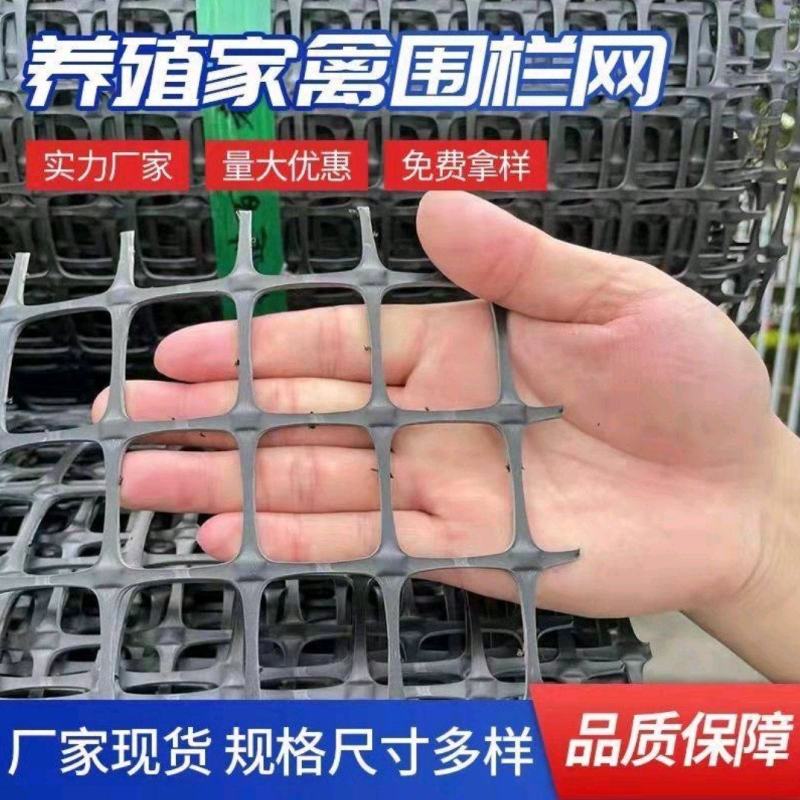 养殖圈地围栏网拦鸡鸭鹅围栏网鱼塘防护网隔离网塑料围栏网