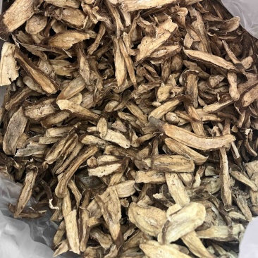 牛蒡根牛蒡根一公斤起发
