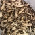 牛蒡根牛蒡根一公斤起发