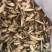 牛蒡根牛蒡根一公斤起发