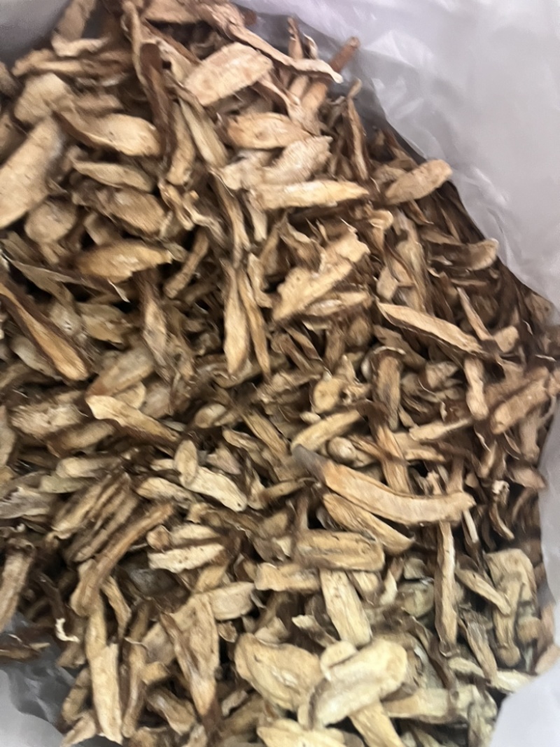 牛蒡根牛蒡根一公斤起发