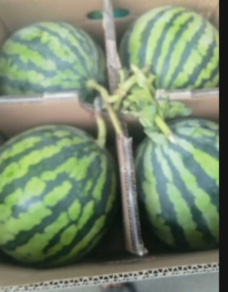 水果