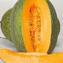哈密瓜