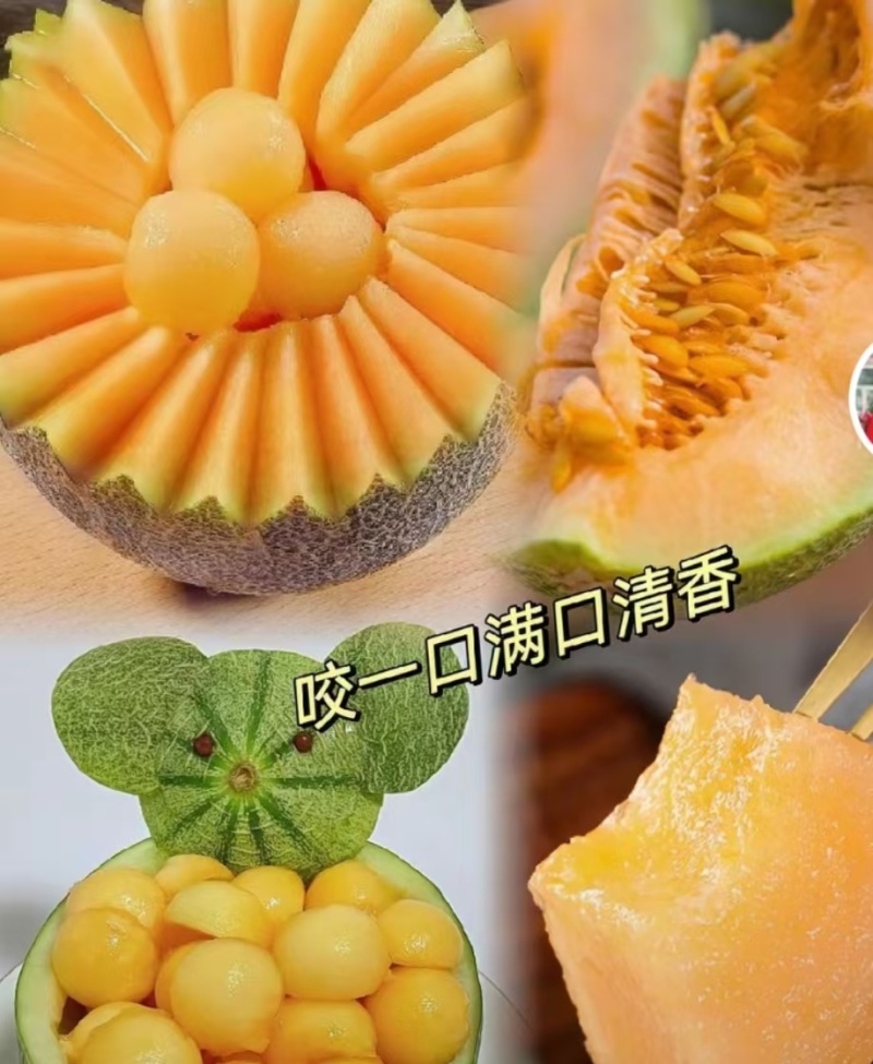 哈密瓜