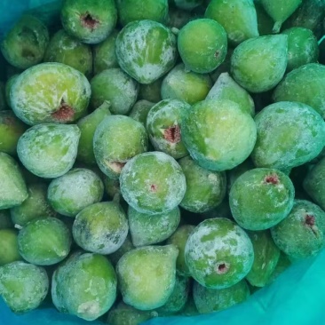 威海无花果冻果,冻无花果,品质保证,量大从优,欢迎来电