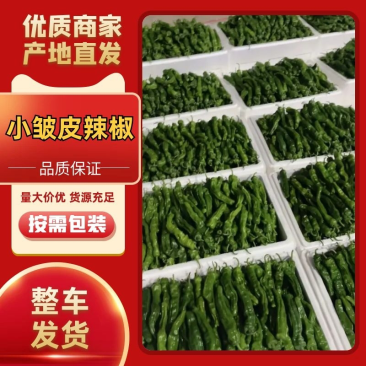 小皱皮大量现货供应需要的老板联系，全国发货