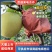 皇冠梨/河北梨/廊坊梨/口感脆甜/产地直发/精选品质