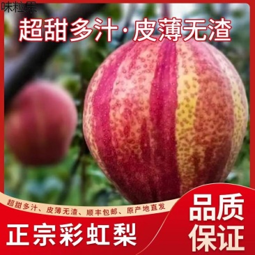 彩虹梨/河北红梨/口感脆甜/产地直发/精选好果