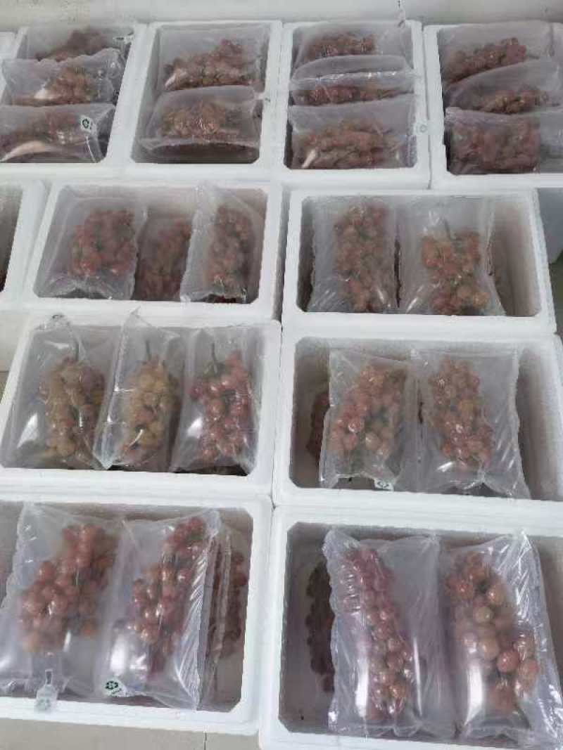 妮娜皇后葡萄每