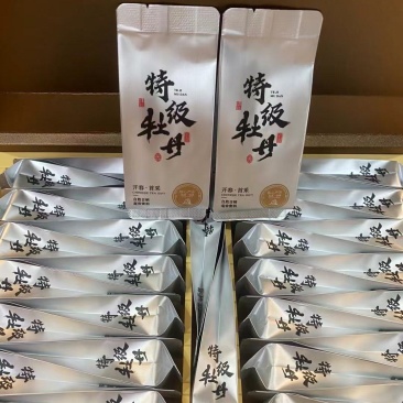 福鼎白茶—白杜丹