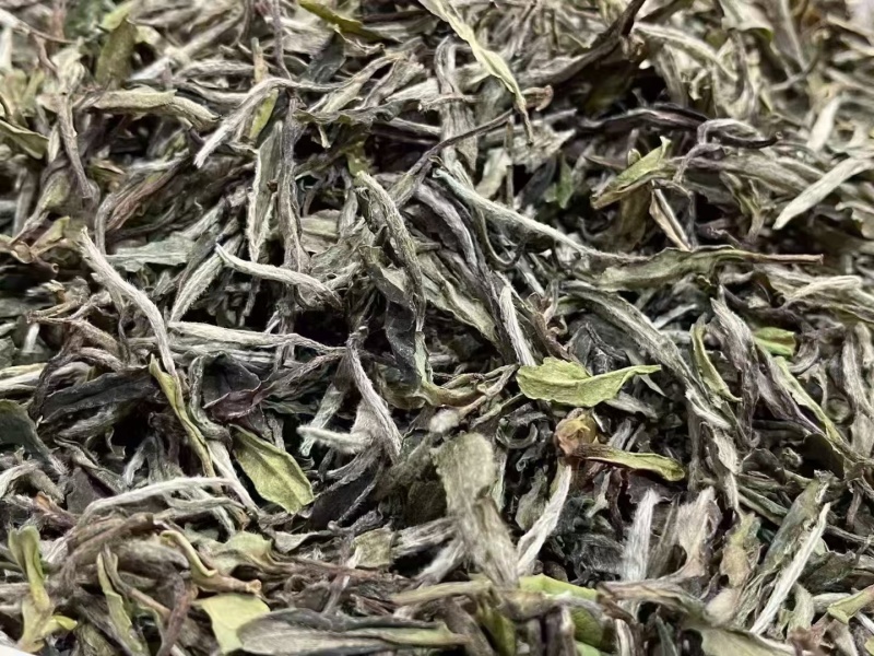 福鼎白茶—白杜丹
