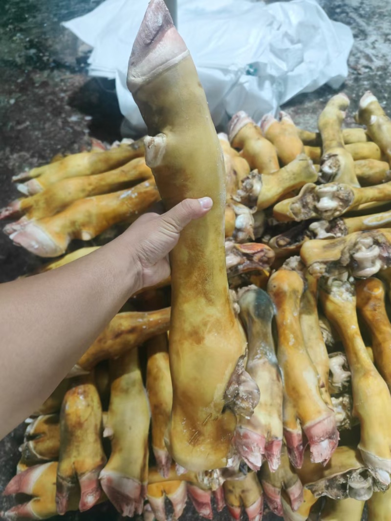 火烧黄牛脚