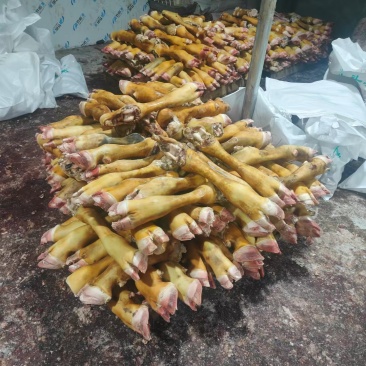 火烧黄牛脚