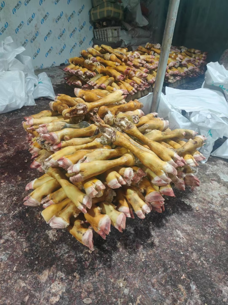 火烧黄牛脚