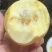【软糯甜香】奶油芭乐新鲜上市个大味甜量大从优欢迎选购