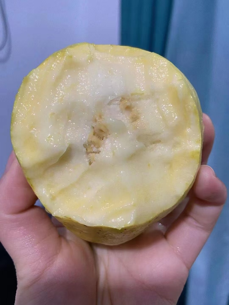 【软糯甜香】奶油芭乐新鲜上市个大味甜量大从优欢迎选购