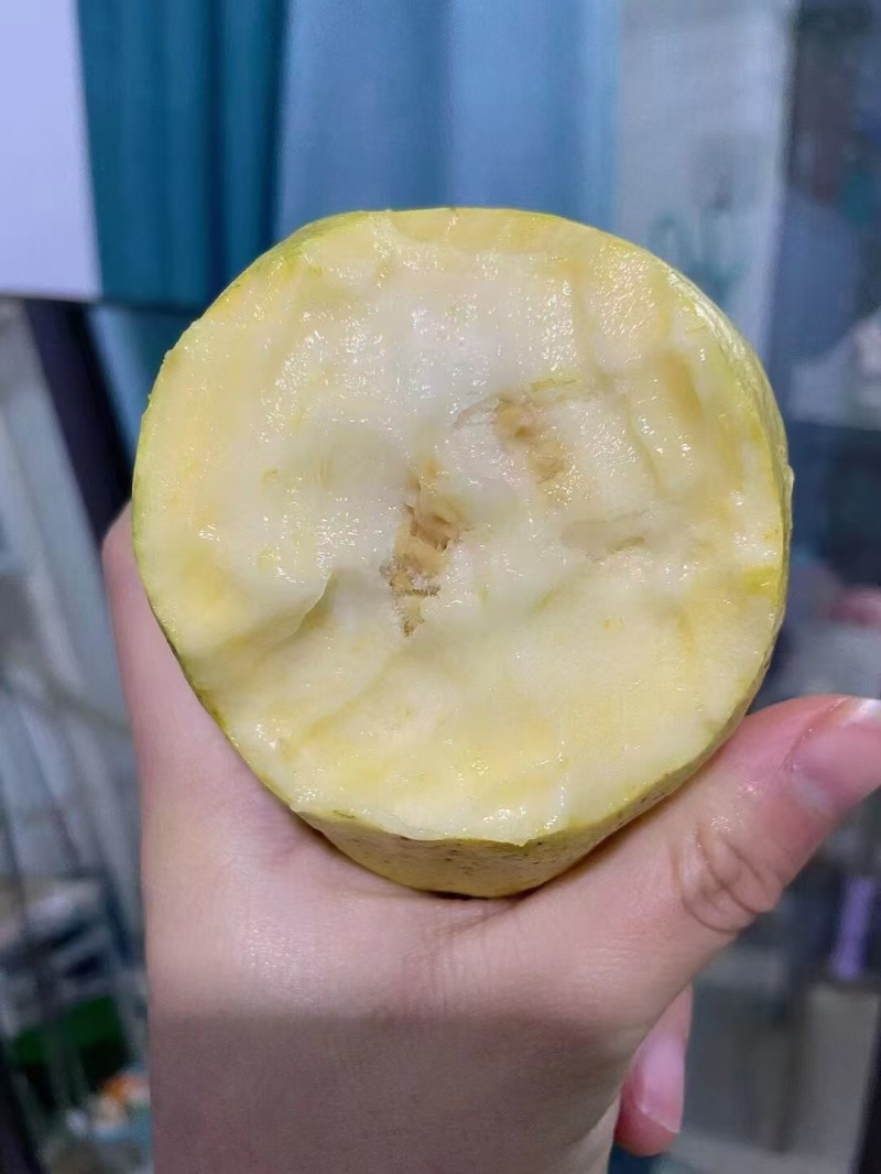 【软糯甜香】奶油芭乐新鲜上市个大味甜量大从优欢迎选购