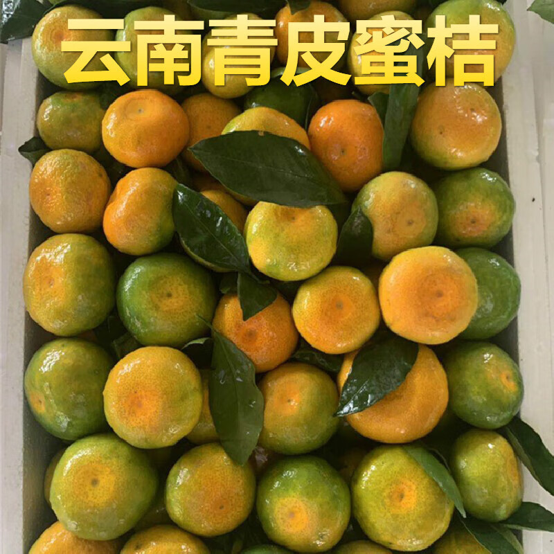 湖北《高山蜜橘》橘子/基地直供/现摘现发/早熟蜜橘~蜜桔
