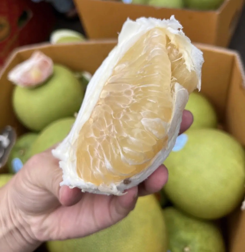 《白心柚》湖北柚子红心蜜柚现货供应随到随装全国发货