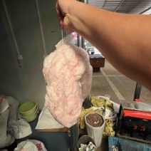 大肥猪吊油
