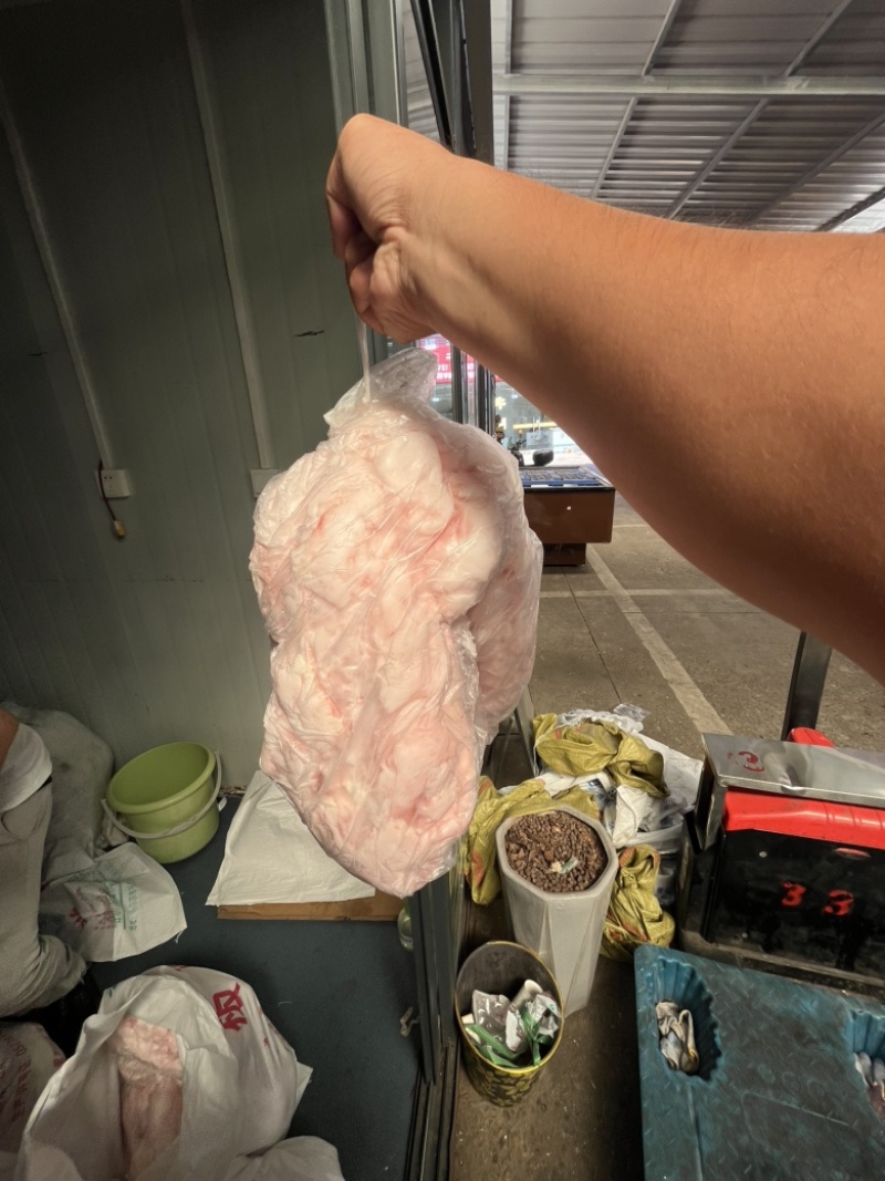 大肥猪吊油