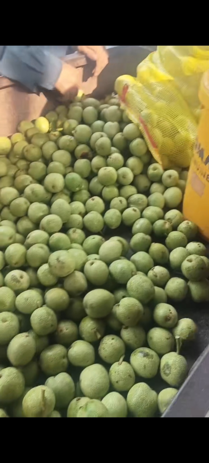 青皮核桃
