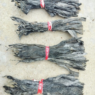 40海带头，颜色好