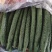 精品黄瓜