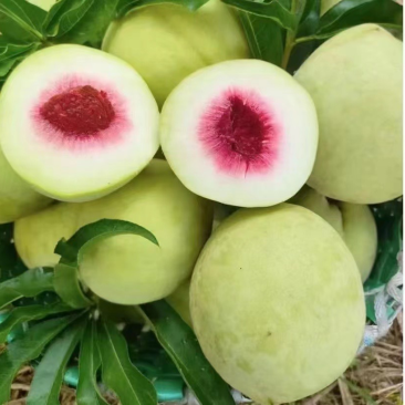 青脆桃（连云港东海县）
