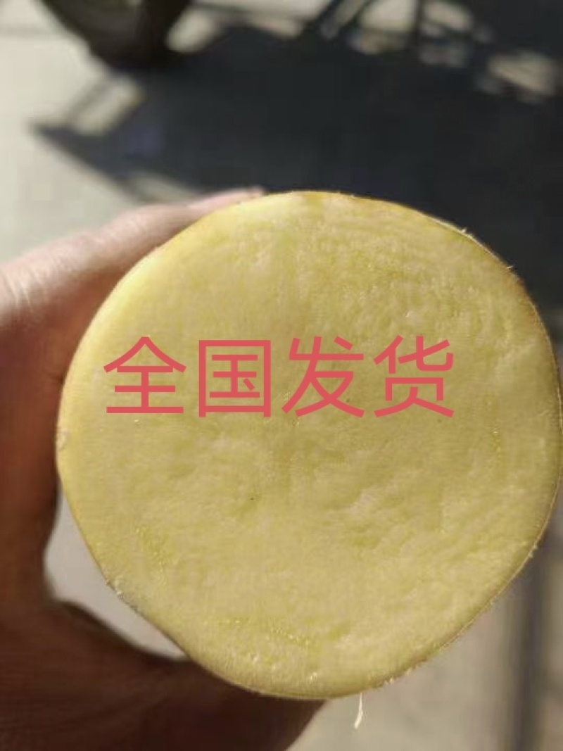 山东精品希森，菏兰，沃土，V7，大量货源