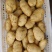 山东精品希森,菏兰,沃土,V7,大量货源