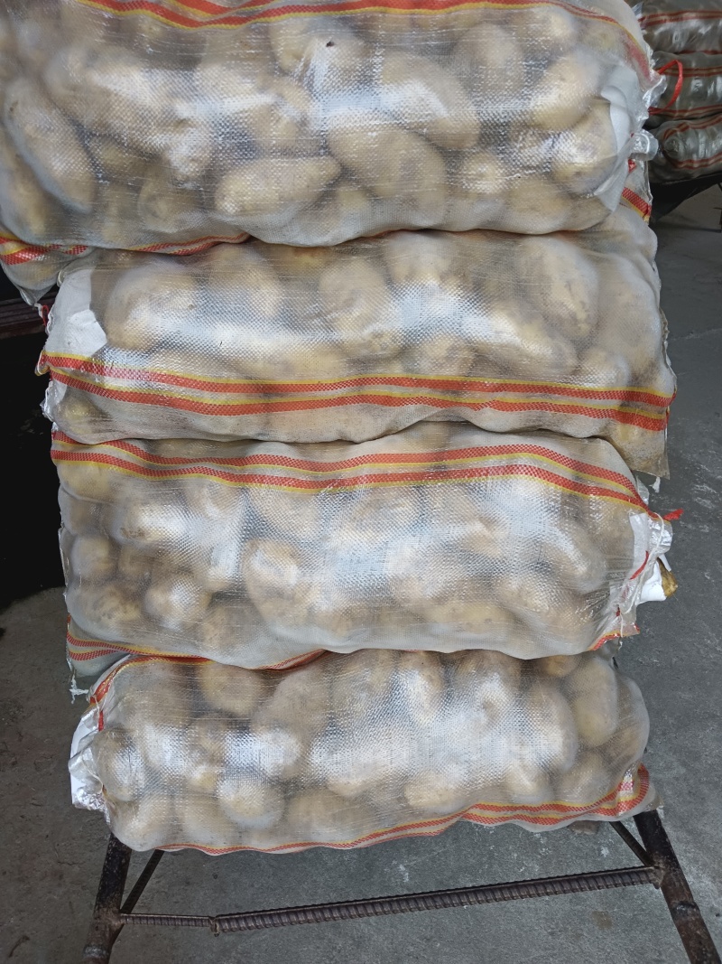山东精品希森，菏兰，沃土，V7，大量货源