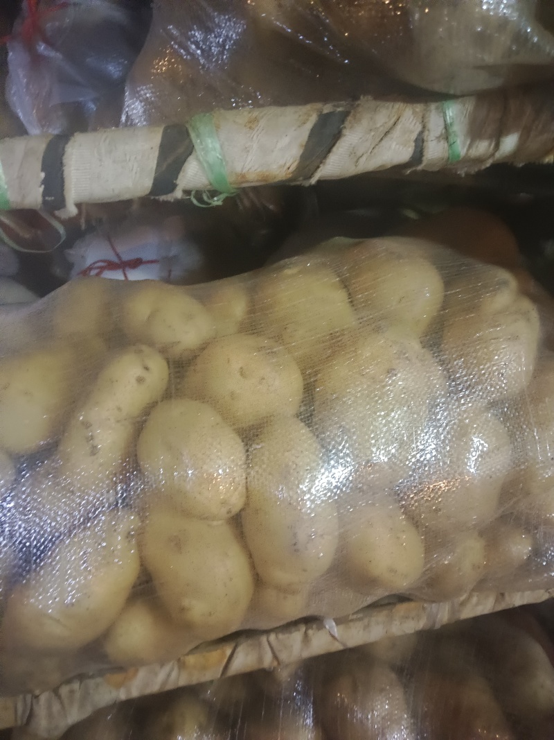 山东精品希森，菏兰，沃土，V7，大量货源