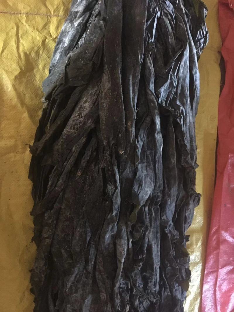 半挂日晒干海带，长2米左右宽40-50厘米【少沙少黄叶少泥巴
