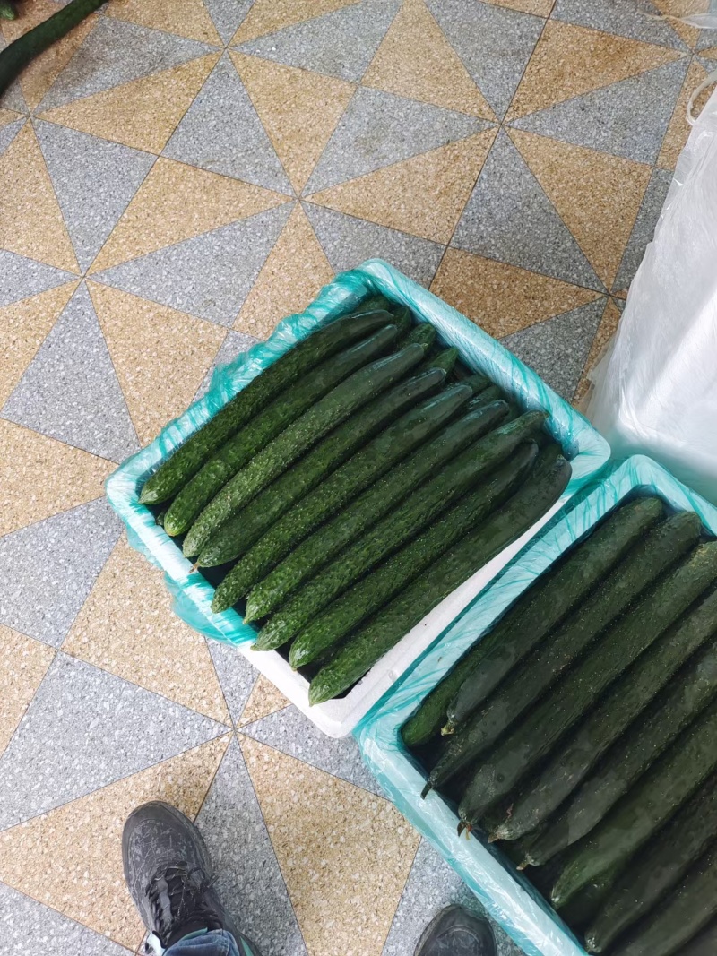 青瓜