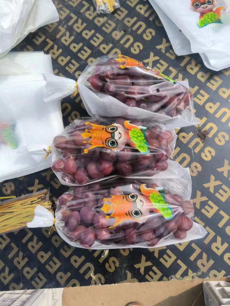 浪漫红颜葡萄大量上市甜度高当季采摘货源充足欢迎联系订购