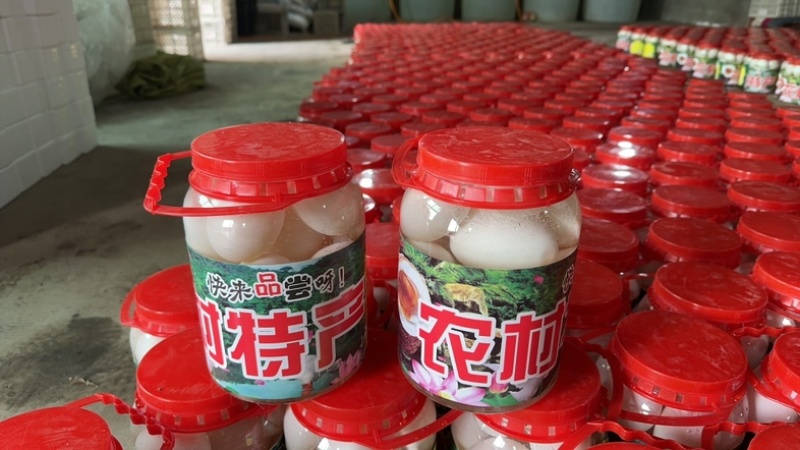 网红桶装蛋厂家直销全国发货价格便宜