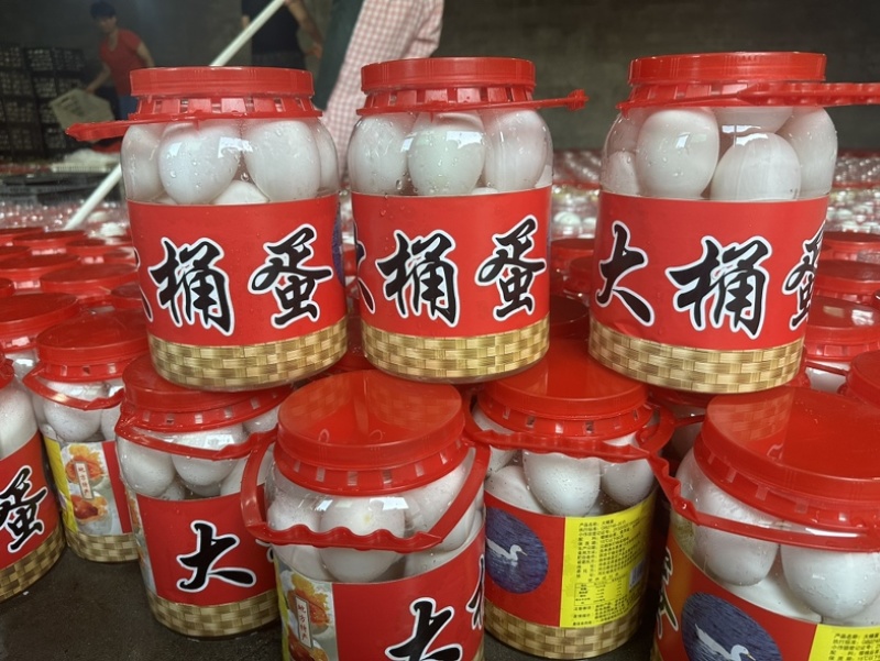 网红桶装蛋厂家直销全国发货价格便宜