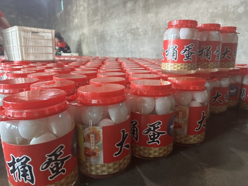 网红桶装蛋厂家直销全国发货价格便宜