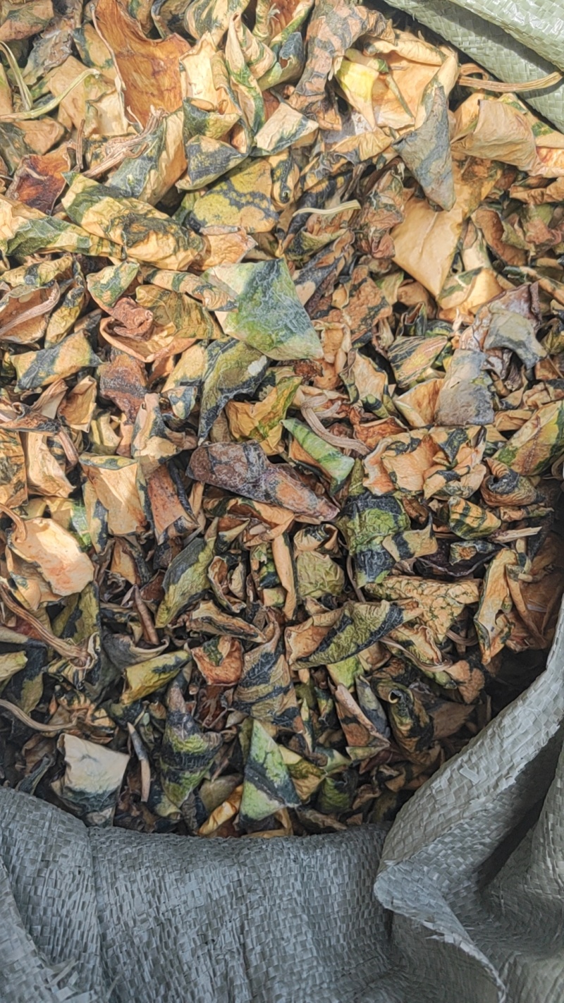 西瓜皮量大从优干货干净无杂质