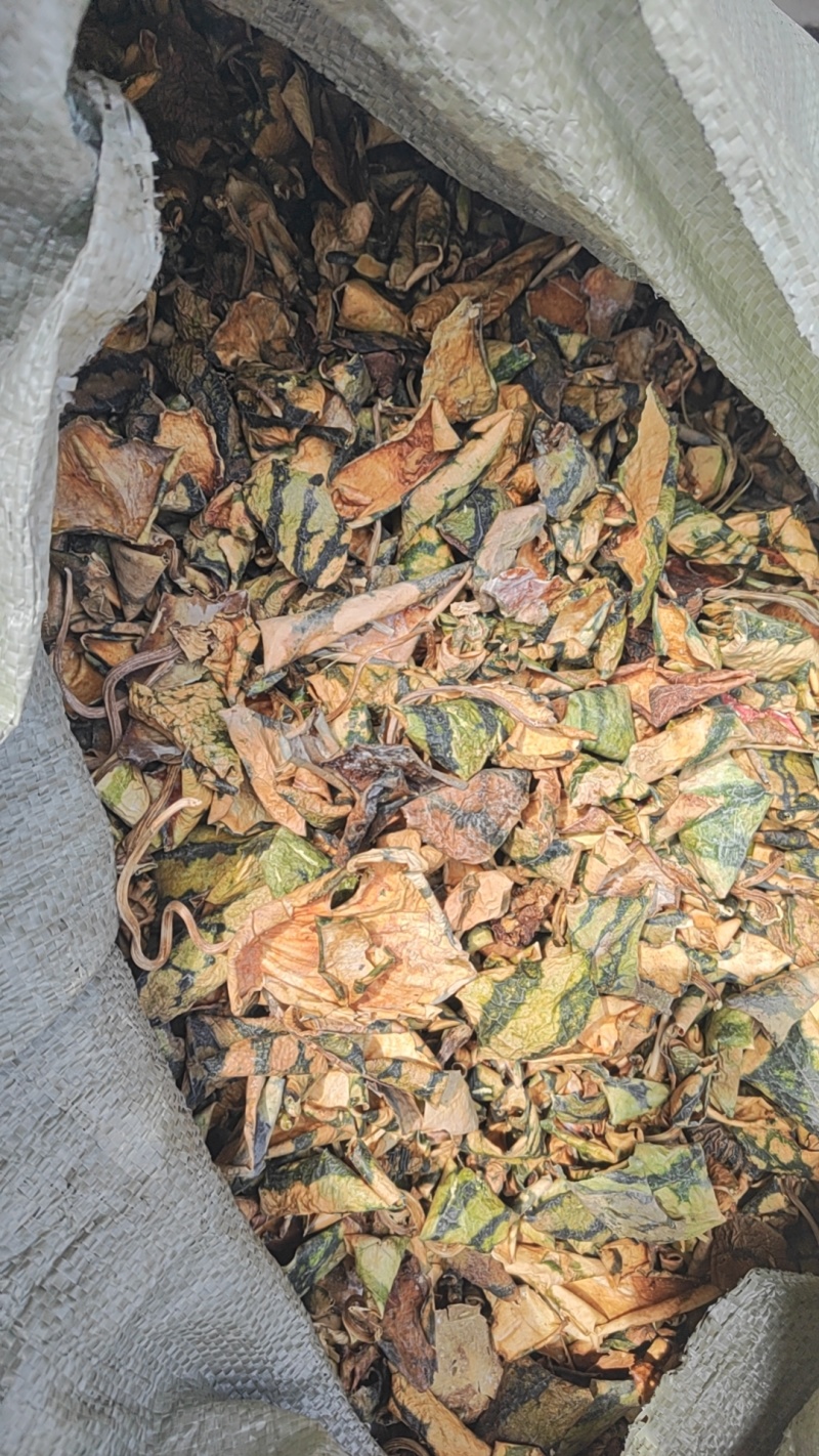 西瓜皮量大从优干货干净无杂质
