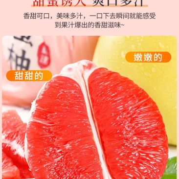 平和红柚，全国供货，电商，超市，规格齐全