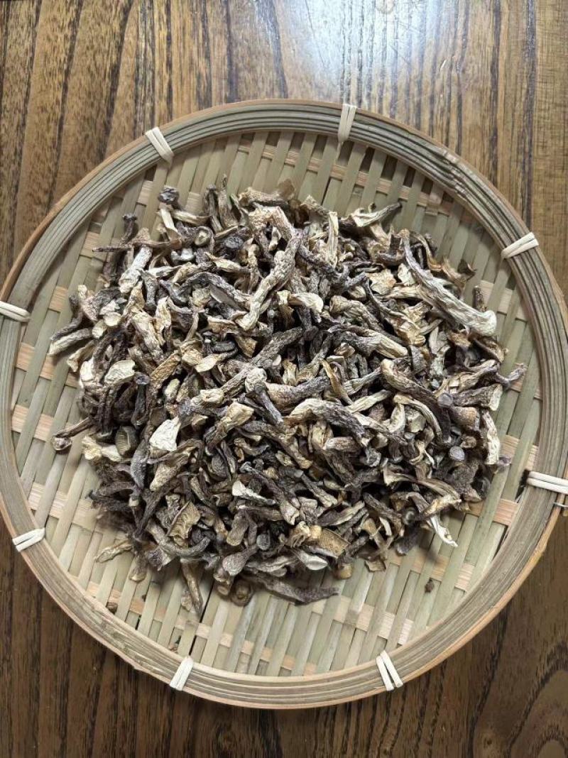 鹿茸菇嫩仔厂家直发货源充足保质保量欢迎联系